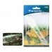 ISTA PLANARIA TRAP 60pcs/outer  