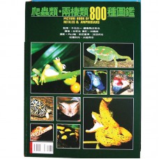 PICTURE BOOK OF 800 REPTILE & AMPHIBIAN Loose packing