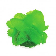 SOFT CORAL - 6cmx6.5cm - GREEN 60pcs/outer