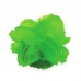 SOFT CORAL - 6cmx6.5cm - GREEN 60pcs/outer 