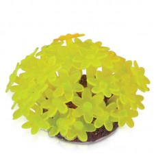 SOFT CORAL - 4.8cmx5.2cm - YELLOW 3pc/tray, 180pcs/outer