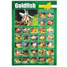 GOLDFISH 59cmx79cm 100pcs/ream