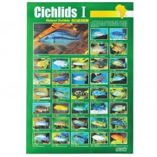 CICHLIDS (I) 59cmx79cm 100pcs/ream