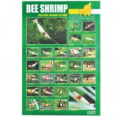 BEE SHRIMP 59cmx79cm 100pcs/ream