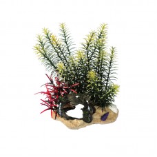 PLANT ORNAMENT WITH BARREL & SHELL 17cmLx12.5cmWx22cmH 1pc/box, 24pcs/outer
