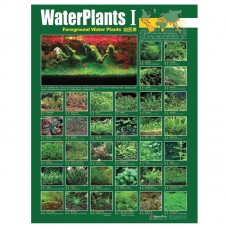 WATER PLANT I - FORE GROUND PLANTS 59cmx79cm 100pcs/ream
