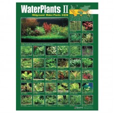 WATER PLANT II - MIDGROUND PLANTS 59cmx79cm 100pcs/ream.