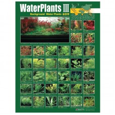 WATER PLANT III - BACKGROUNDPLANTS 59cmx79cm 100pcs/ream