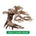 AQUAJOY BONSAI TREE 25x15x20cm 1pc/box  