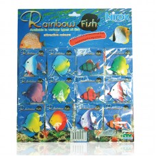 RAINBOW FISH 5cm-6cm 1doz/card, 50cards/outer.