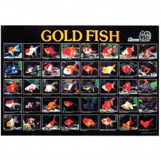 GOLD FISH 77cmx53cm 100pcs/ream