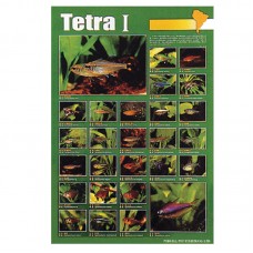 TETRA (I) 59cmx79cm 100pcs/ream 