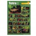 TETRA (I) 59cmx79cm 100pcs/ream  