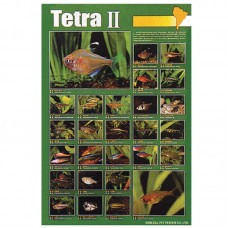 TETRA (II) 59cmx79cm 100pcs/ream 