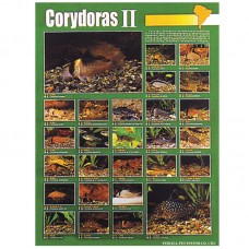 CORYDORAS (II) 59cmx79cm 100pcs/ream