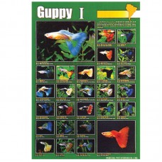 GUPPY (I) 59cmx79cm 100pcs/ream
