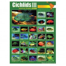 CICHLIDS III 59cmx79cm 100pcs/ream 