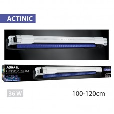 AQUAEL LEDDY SLIM 36w ACTINIC 100-120cm (114992) 6pcs/outer