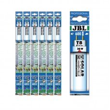 JBL TUBE - SOLAR MARIN BLUE T8 36w 120cm 1pc/box 6pcs/outer 