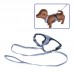 DOG HARNESS AND LEAD SET 15mmx120mmL 