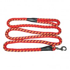 P.P. BRAIDED DOG LEASH 20mmx96" THREE COLOR MIXED 40pcs/outer