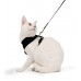 DOGLEMI MESH CAT HARNESS & LEASH SET -BLACK, PINK 1pc/pkt  