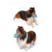 DOGLEMI FUNNY FROG AND BIRD DOG MUZZLE SIZE:S -PINK,BLUE 1pc/pkt  