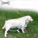 DOGLEMI DOG TRANSPARENT RAINCOAT SIZE:M 1pc/pkt  