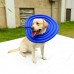 DOGLEMI PET COLLAR PROTECTOR SIZE:S - BLUE, ROSE RED 1pc/pkt  