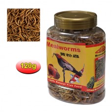 FUTIAN MEALWORMS 120g 48pcs/outer 
