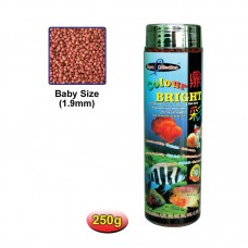 AQUA COLLECTION COLOUR BRIGHT 250g - BABY RED 50pcs/outer
