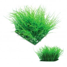 CARPET GRASS ELEOCHALIS ACISULARIS - GREEN/25heads 5"Lx5"Wx5.5"cmH 48pcs/outer