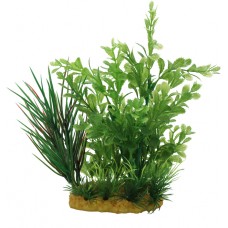 EMERALD GROVE 10cmLx6.5cmWx18cmH 1pc/card, 36cards/outer 