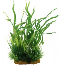 EMERALD GROVE 10cmLx6.5cmWx20.7cmH 1pc/card, 36cards/outer 