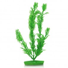WHEAT FLOWER 8"H light green 48pcs/pkt 288pcs/outer