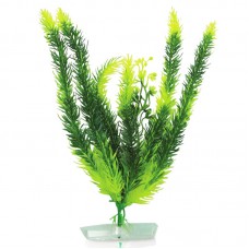 CLUB MOSS 12"H two tone green 6pcs/pkt 120pcs/outer