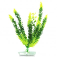 CLUB MOSS 6"H - TWO TONE GREEN 6pcs/pkt 180pcs/outer