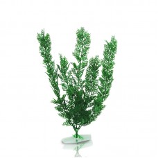 WHEAT FLOWER 12"H - DARK GREEN 6pcs/pkt 120pcs/outer