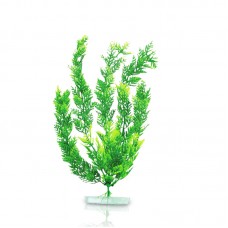 WHEAT FLOWER 12"H teo tone green 6pcs/pkt 120pcs/outer