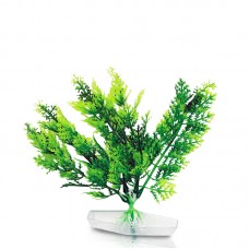 WHEAT FLOWER 6"H two tone green 6pcs/pkt 180pcs/outer