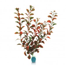 BLOOMING LUDWIGIA w/WEIGHT 12"H Red Green 6pcs/pkt 120pcs/outer