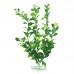 BLOOMING LUDWIGIA 12"H Two Tone Green 6pcs/pkt 120pcs/outer 