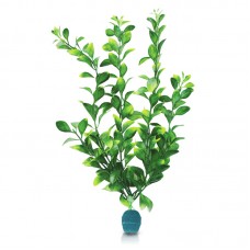 BLOOMING LUDWIGIA w/WEIGHT 12"H two tone green 6pcs/pkt 120pcs/outer