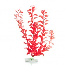 BLOOMING LUDWIGIA 12"H white red 6pcs/pkt 120pcs/outer