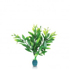 NEW BLOOMING LUDWIGIA w/WEIGHT 6"H two tone green 6pcs/pkt 180pcs/outer