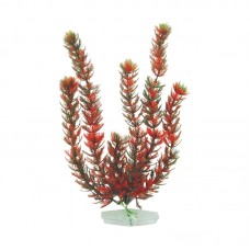 NEW FOXTAIL 12"H Red Green 6pcs/pkt 120pcs/outer