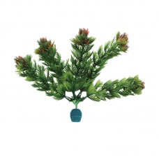 NEW FOXTAIL w/FLOWER & WEIGHT 6"H two tone green 6pcs/pkt 120pcs/outer