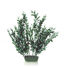 BUSHY HYDROPHILA 15''H GREEN 12pcs/box 144pcs/outer